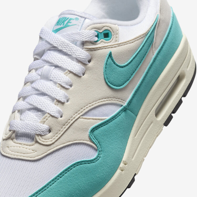 Nike Air Max 1 WMNS "Dusty Cactus" DZ2628-107