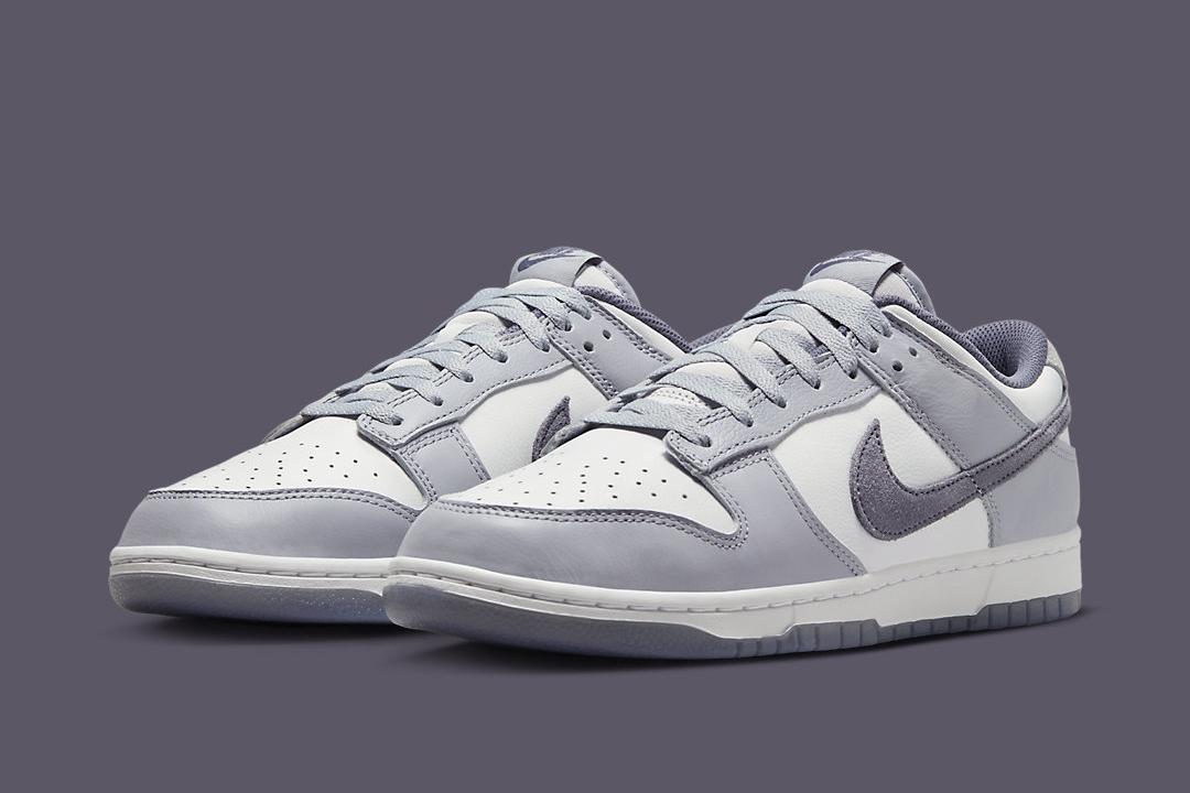 Nike Dunk Low SE FJ4188-100