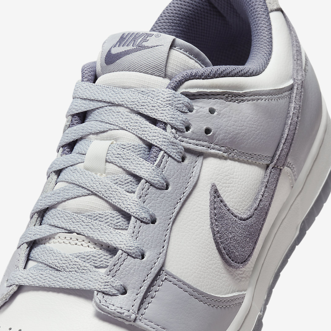 Nike Dunk Low SE FJ4188-100