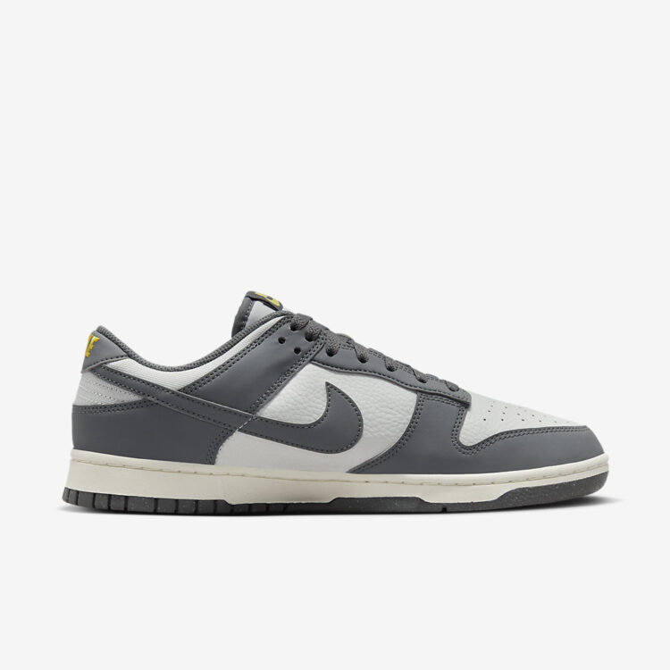 Nike Dunk Low Next Nature  FZ4621-001