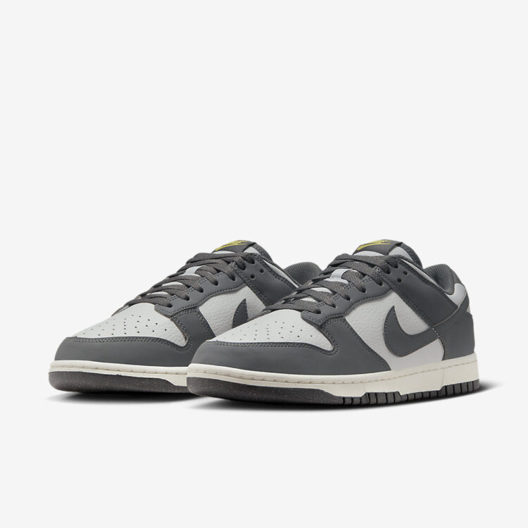 Nike Dunk Low Next Nature  FZ4621-001