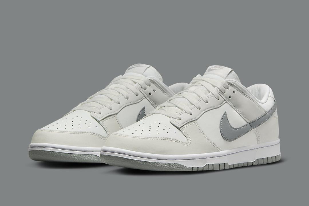 Nike Dunk Low DV0831-106