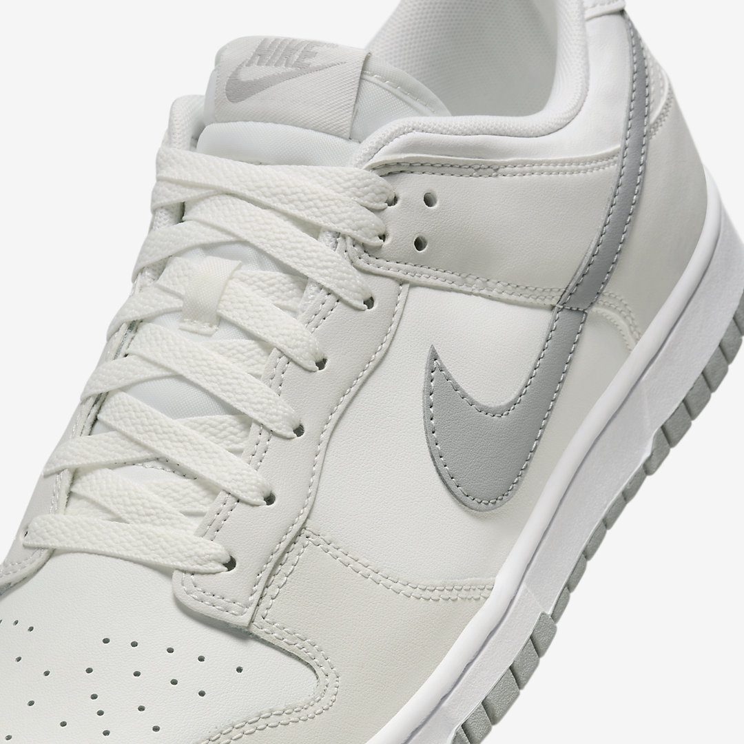 Nike Dunk Low DV0831-106