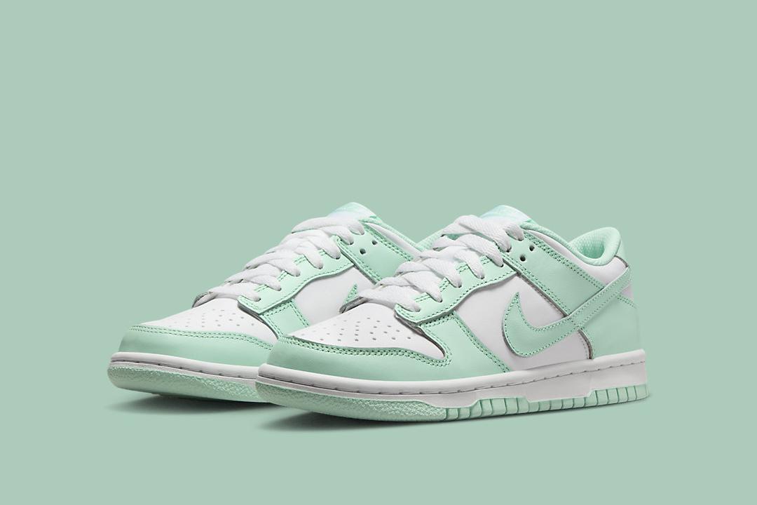 Nike Dunk Low GS FZ3534-100