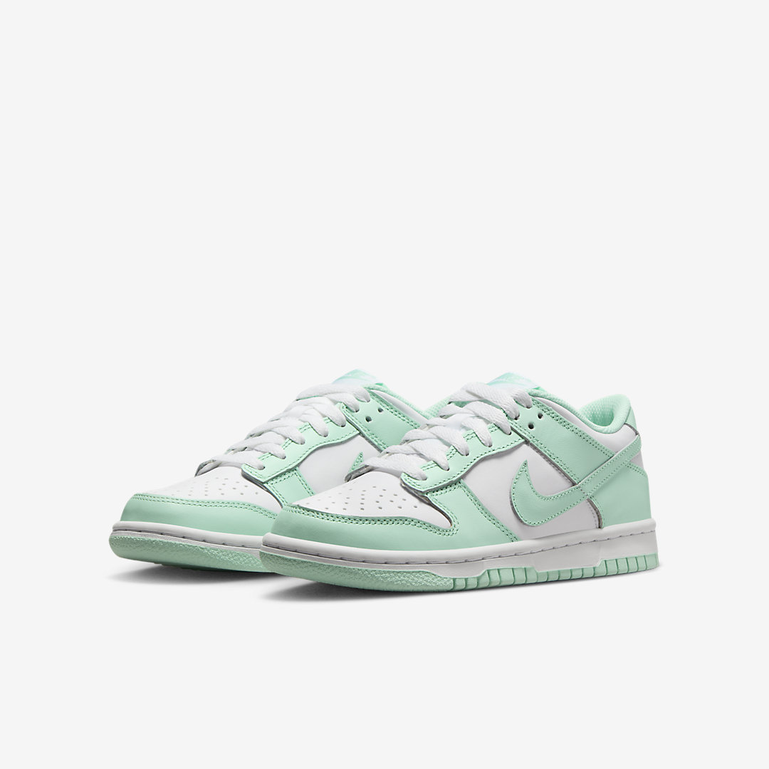 Nike Dunk Low GS FZ3534-100