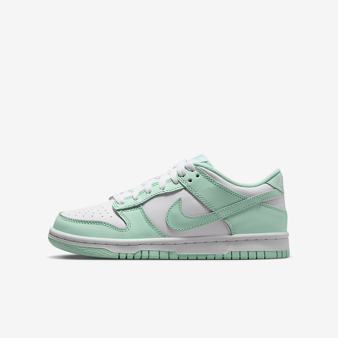 Nike Dunk Low GS FZ3534-100