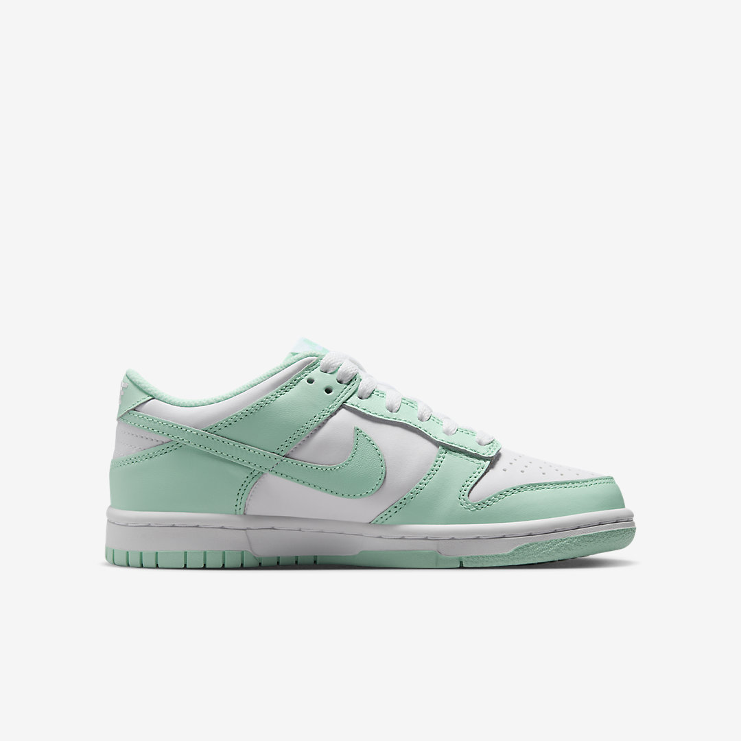 Nike Dunk Low GS FZ3534-100