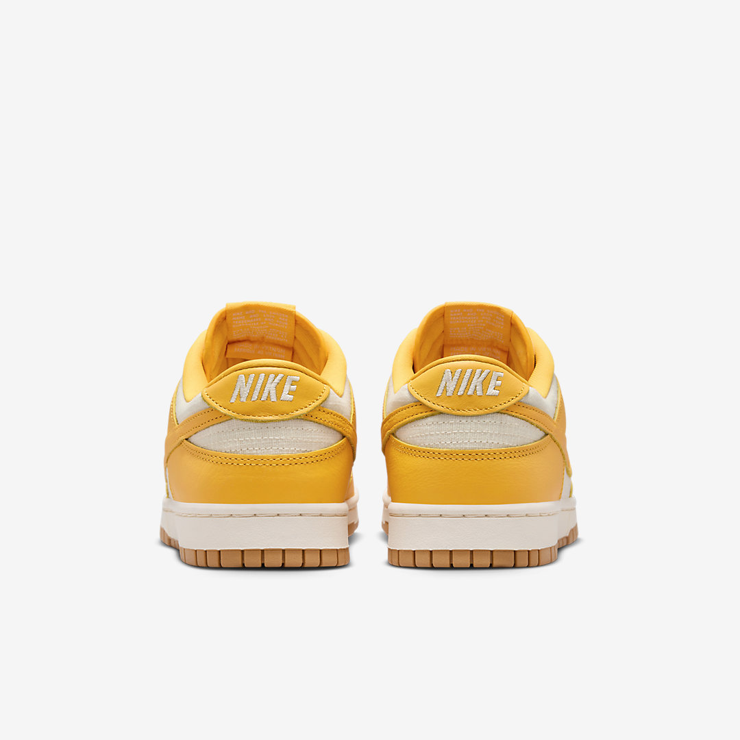 Nike Dunk Low HF4867-739