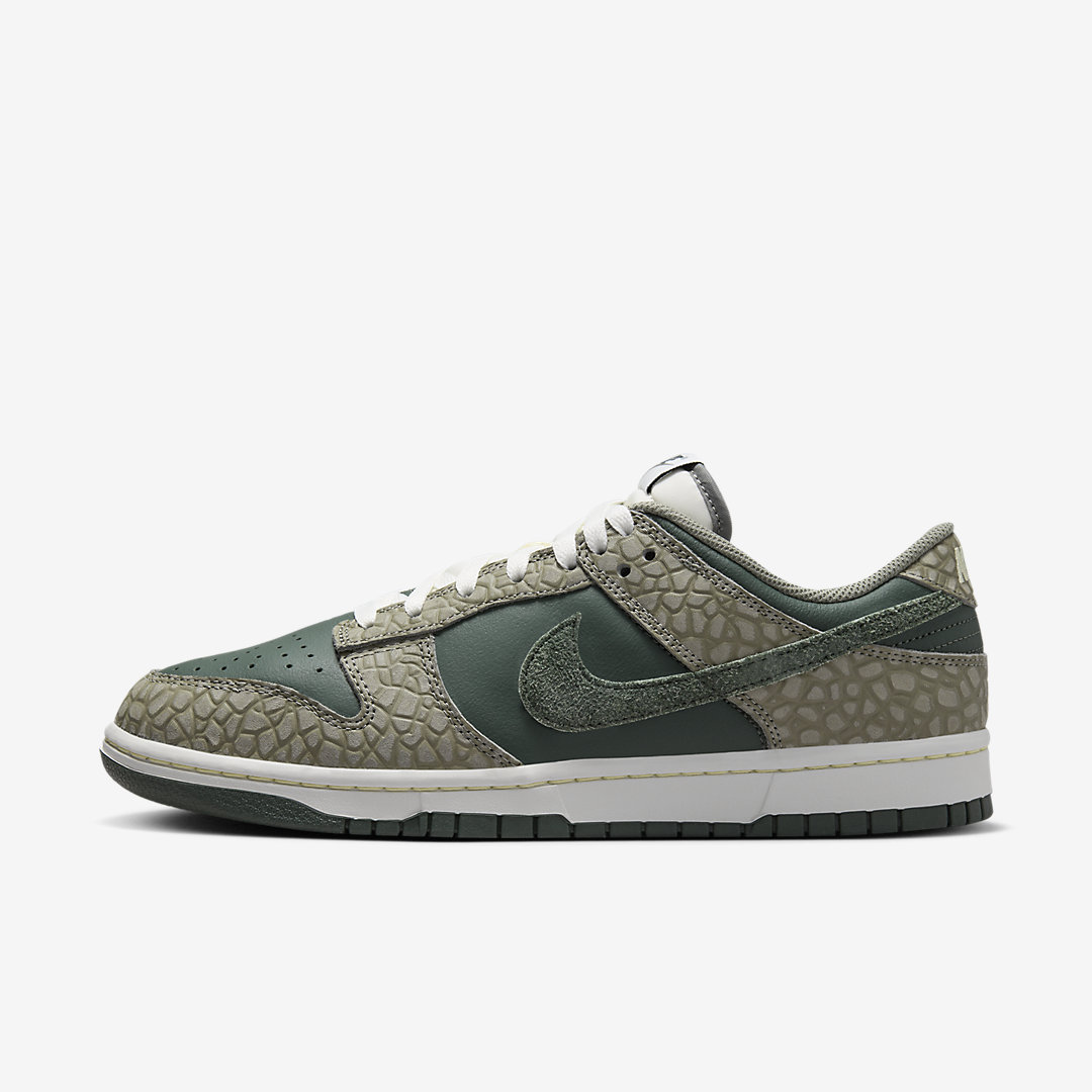 Nike Dunk Low HF4878-053