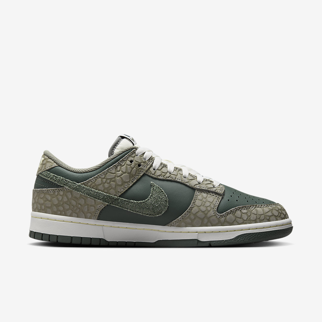 Nike Dunk Low HF4878-053