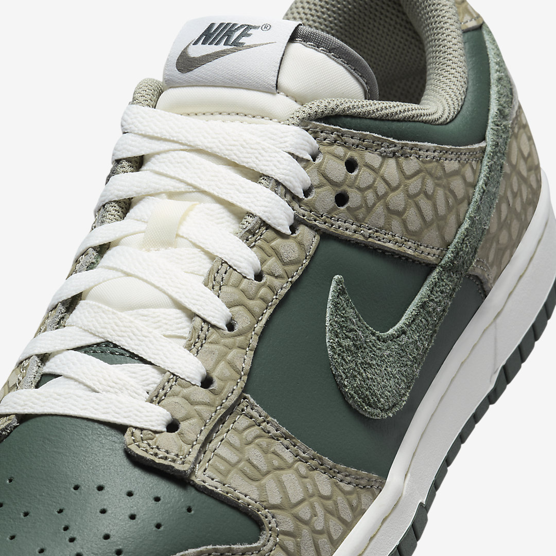 Nike Dunk Low HF4878-053