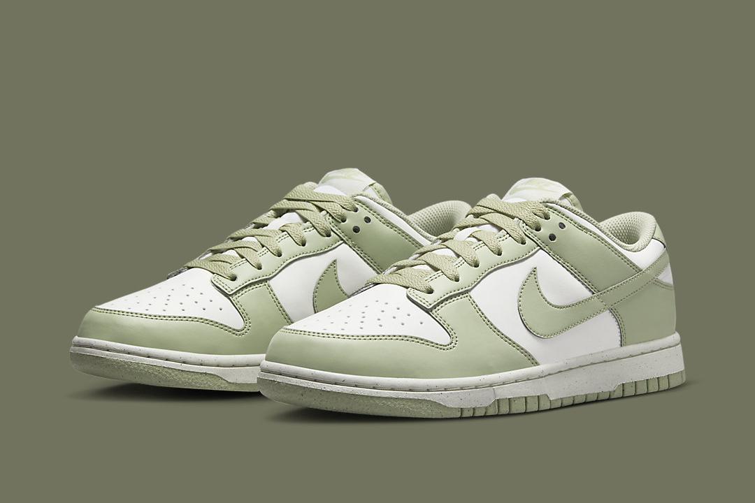 Nike Dunk Low Next Nature HF5384-300