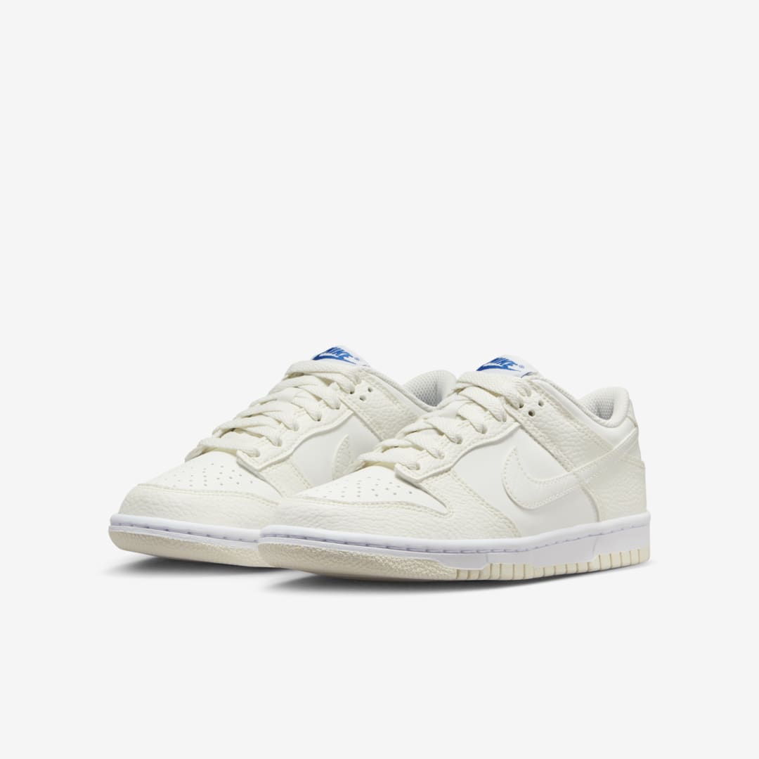 Nike Dunk Low GS FV7472-100