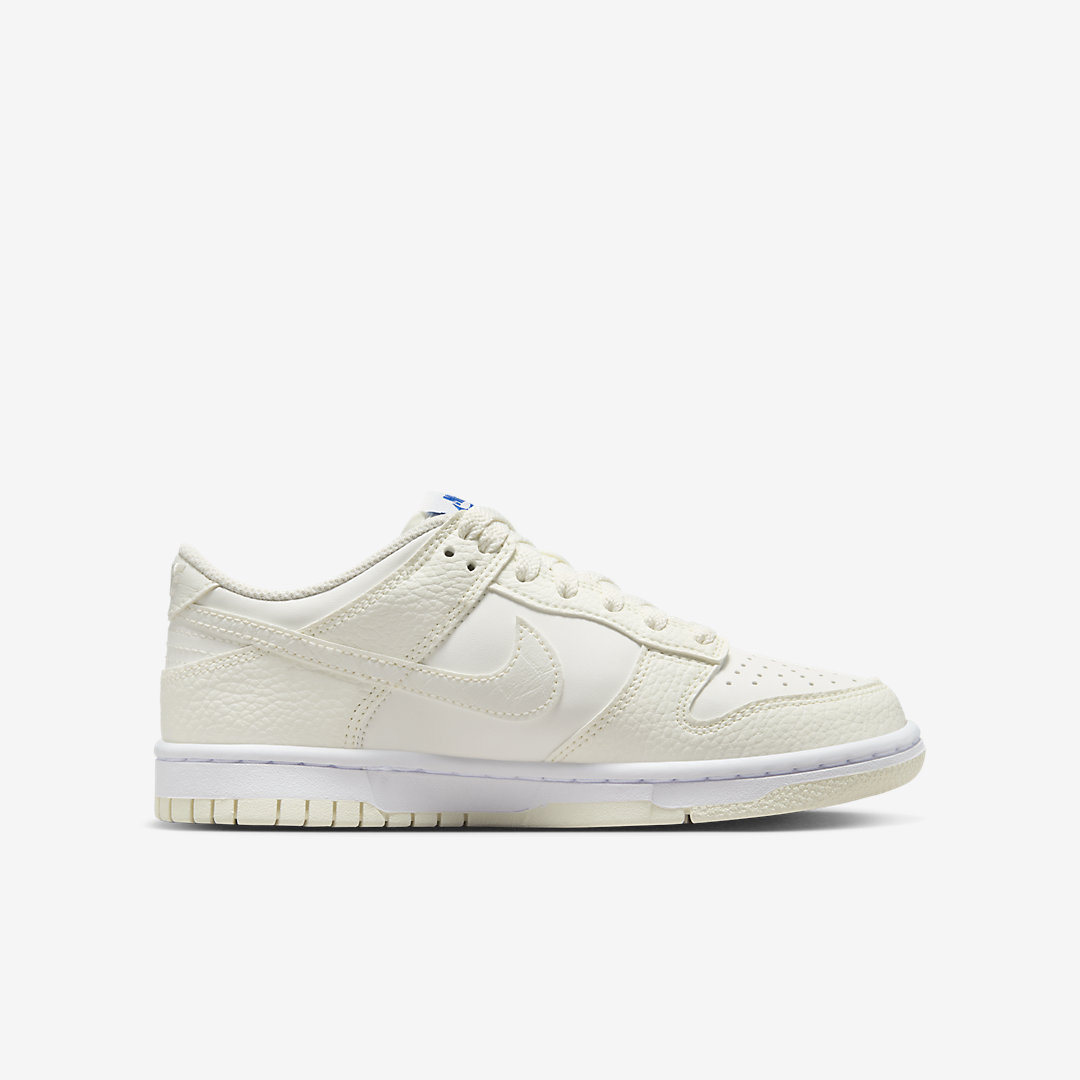 Nike Dunk Low GS FV7472-100