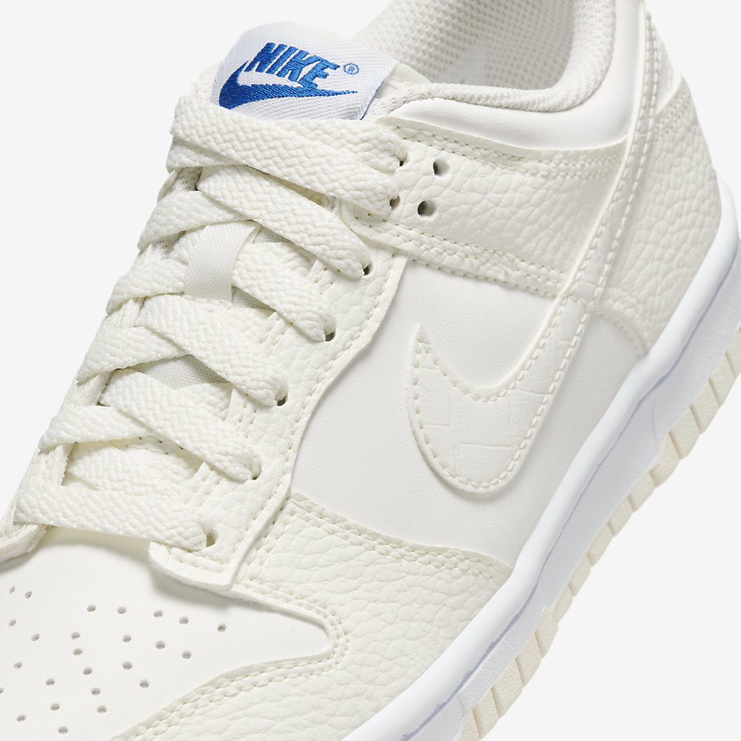 Nike Dunk Low GS FV7472-100