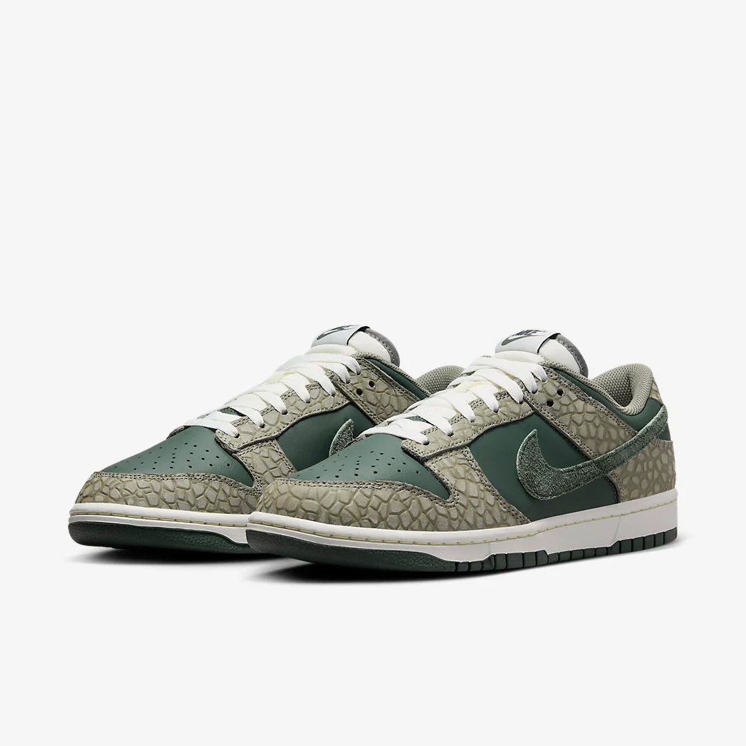 Nike Dunk Low HF4878-053