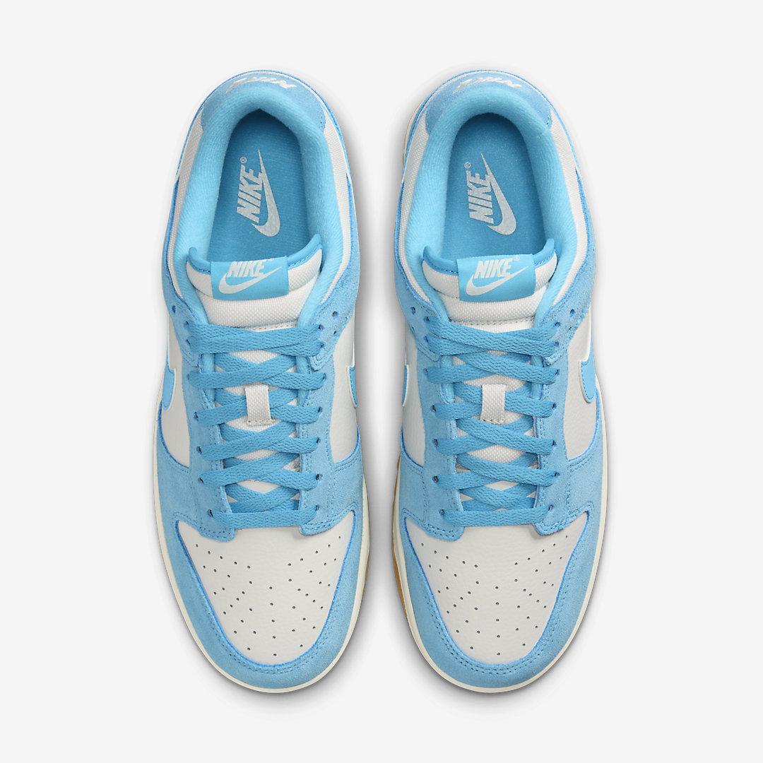 Nike Dunk Low HQ1519-031