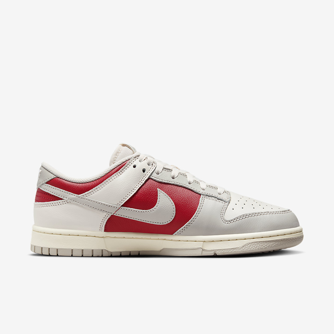 Nike Dunk Low HJ9093-030