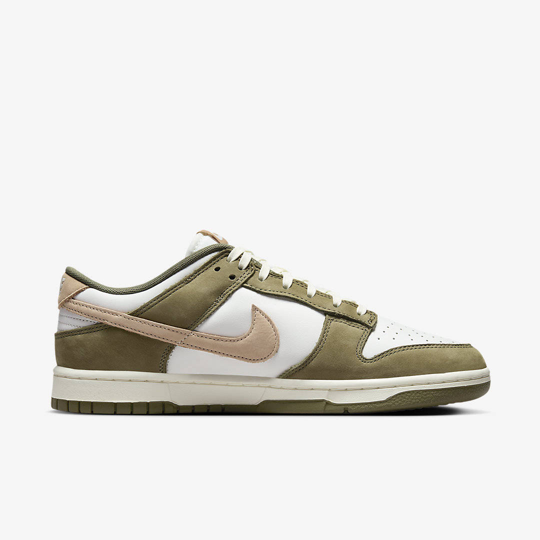 Nike Dunk Low FQ8250-200