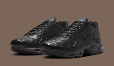 Air Max Plus Premium "Black Tea/Petra Brown" HJ4519-200