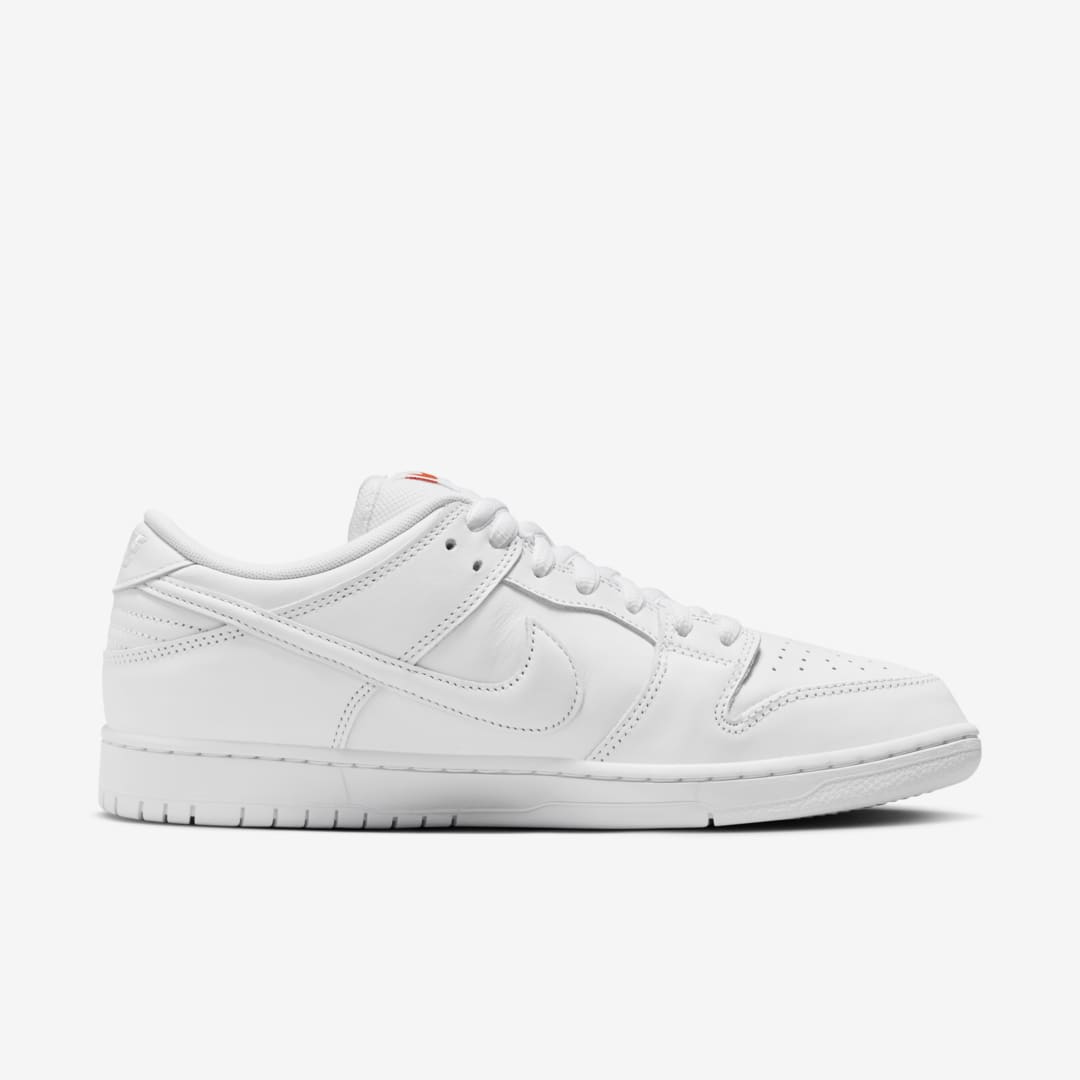 Nike SB Dunk Low FJ1674-100