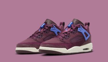 Jordan Spizike Low GS "Bordeaux" FQ3950-641