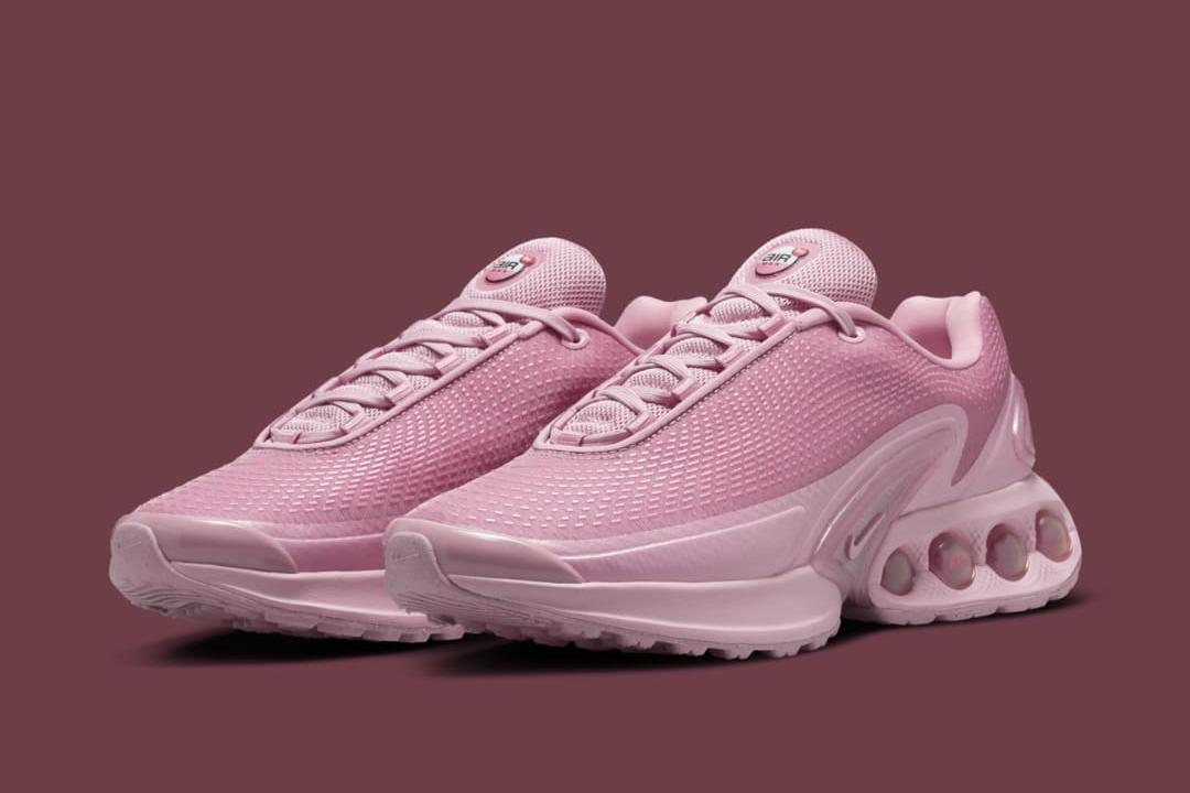 Nike Air Max Dn WMNS "Elemental Pink" HV4861-600