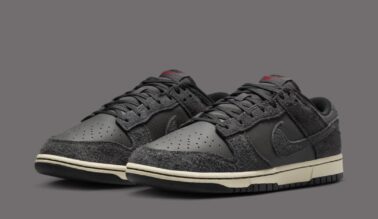 Nike Dunk Low HF3145-001