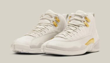 Air Jordan 12 WMNS "Phantom" FD9101-007