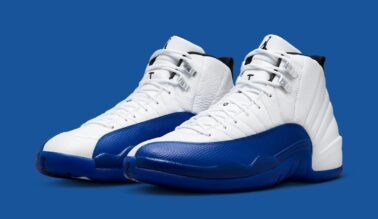 Air Jordan 12 "Blueberry" CT8013-140