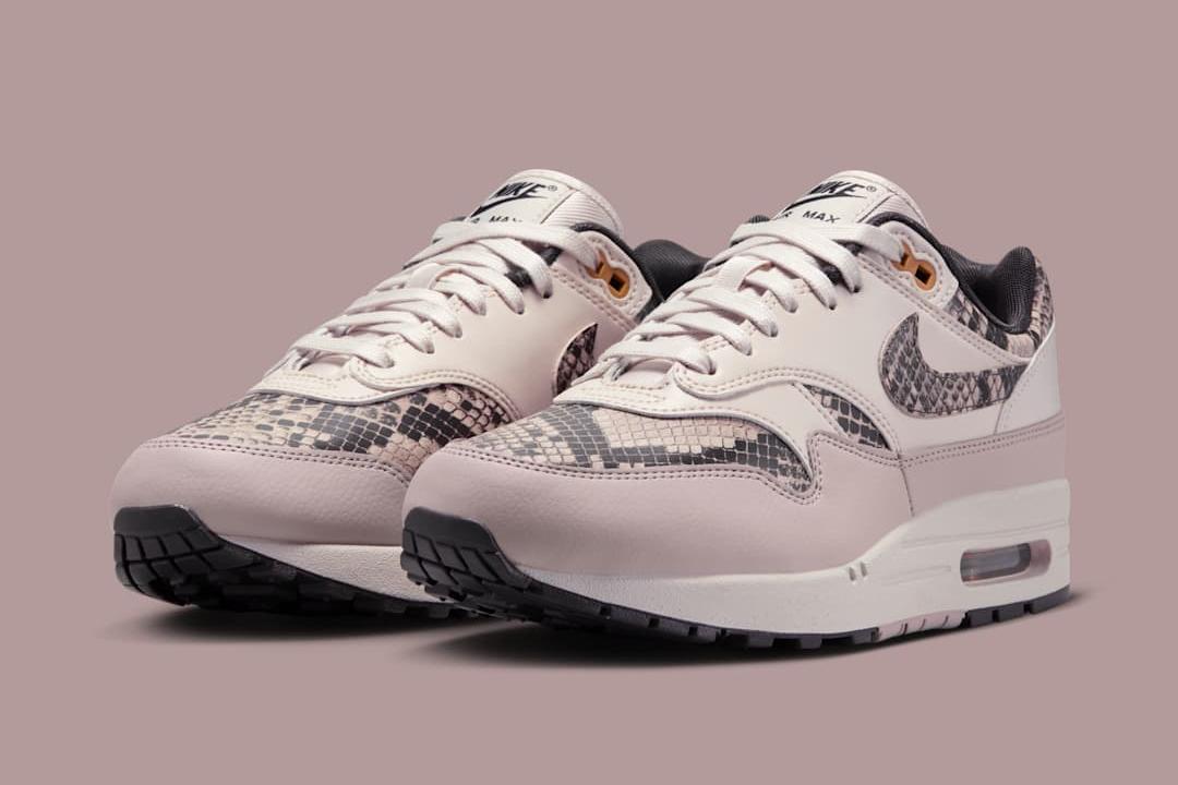 Nike Air Max 1 PRM WMNS "Air Max Day" HF5338-100