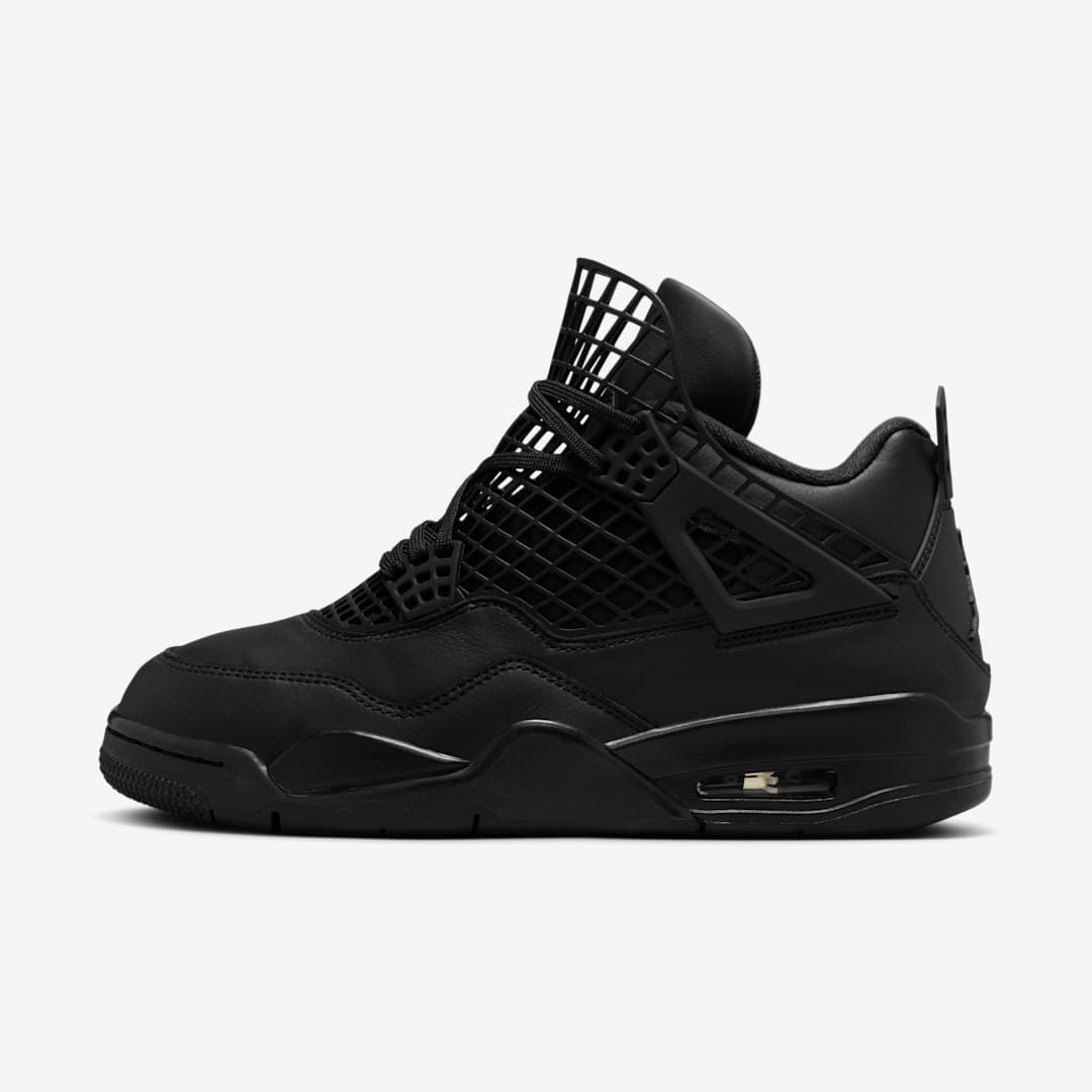 Air Jordan 4 WMNS NET FN7251-001